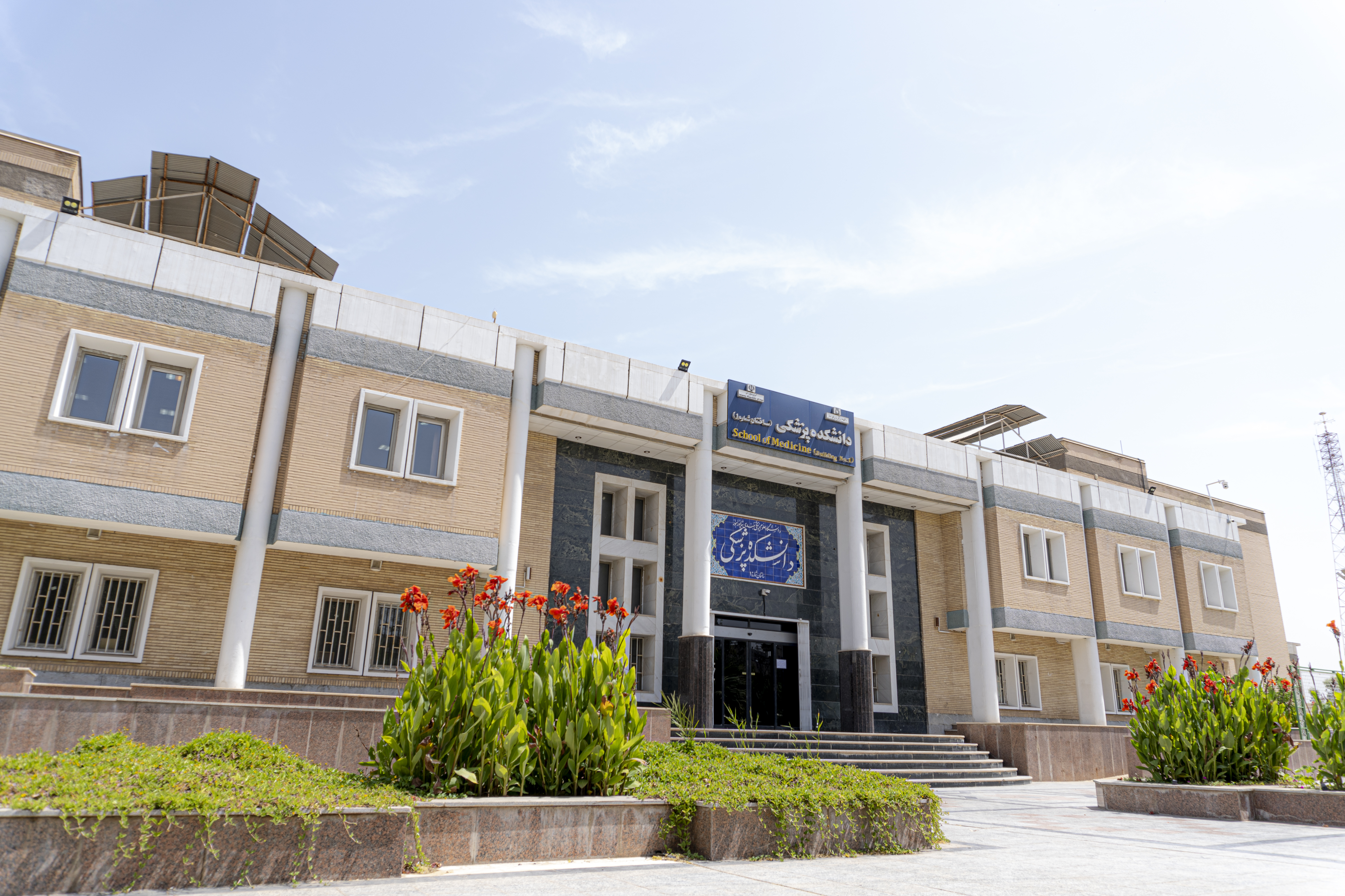 school of medicine
